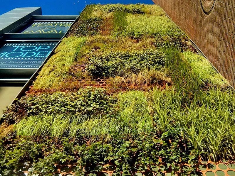 湖南金年会生态环境建设有限公司,人造草坪假草皮,湖南雨水收集处理工艺 湖南金年会生态环境建设有限公司,人造草坪假草皮,湖南雨水收集处理工艺