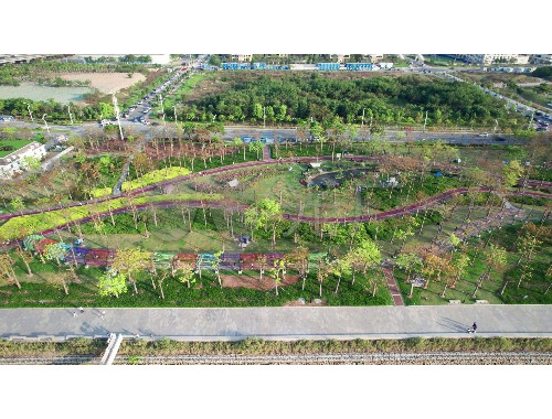 武汉城市绿化带种植什么植物比较好